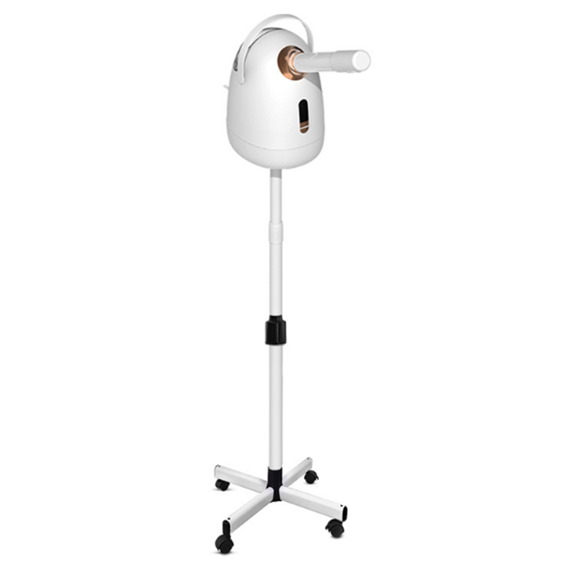 Facial steaming device